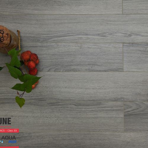 Sàn Gỗ Fortune 12mm Aqua 903
